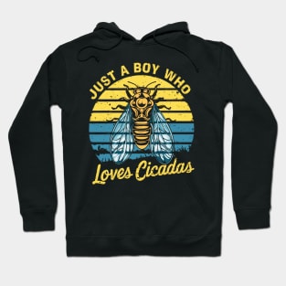 just a boy who loves cicadas Hoodie